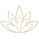 Xerendipity Corporation Ltd.