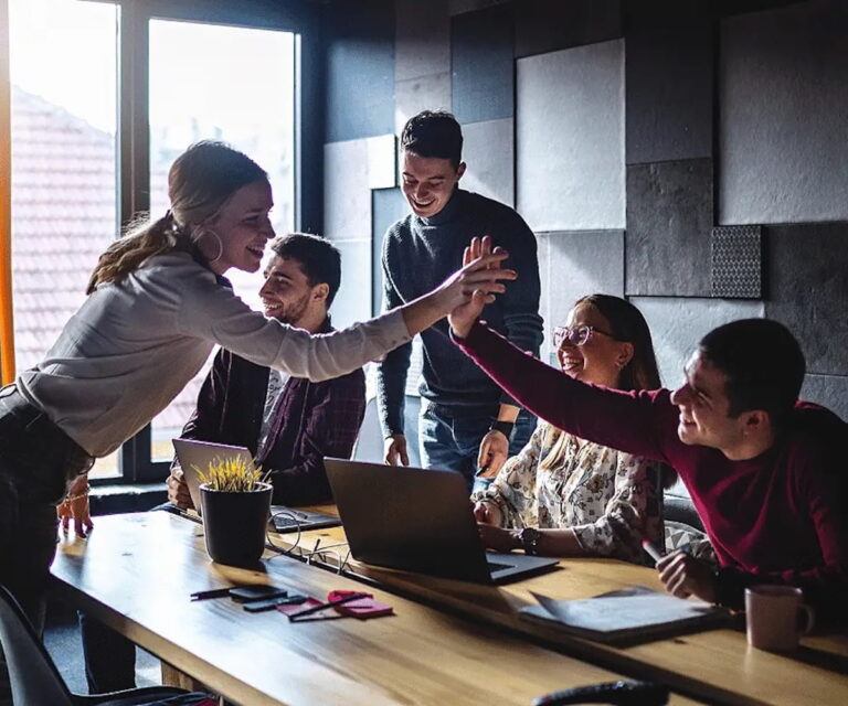 Reliability, Transparency and Next Steps - Xerendipity Selection of Guaranteed Referenced Domestic Staff